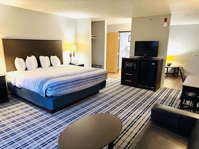 Hotel room featuring a large striped bed, patterned carpet, television, microwave, and leather seating.